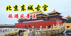 中国肏逼高清视频中国北京-东城古宫旅游风景区